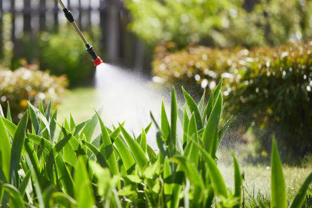 Tamper-Resistant Bait Stations for Rodents in Liverpool