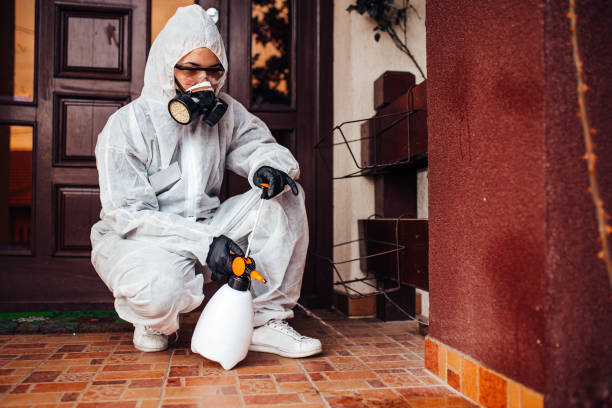 Attic and Crawl Space Rodent Treatment in Liverpool