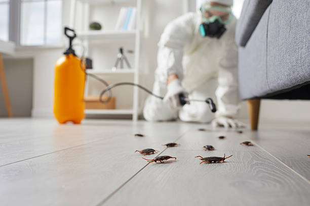 Commercial Rodent Management in Liverpool